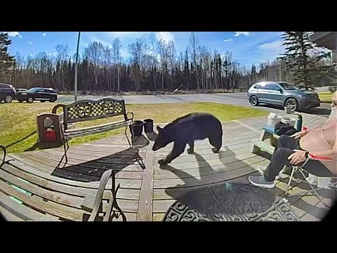 Unexpected Real Life Moments 