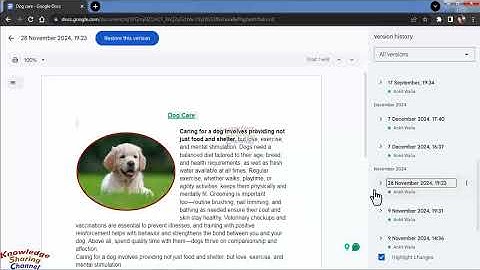 How to See Edit History in Google Docs