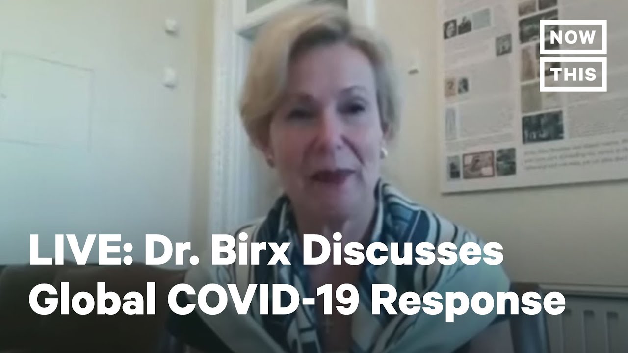 Deborah Birx: 'Parallel set of data' on Covid-19 was delivered to Trump