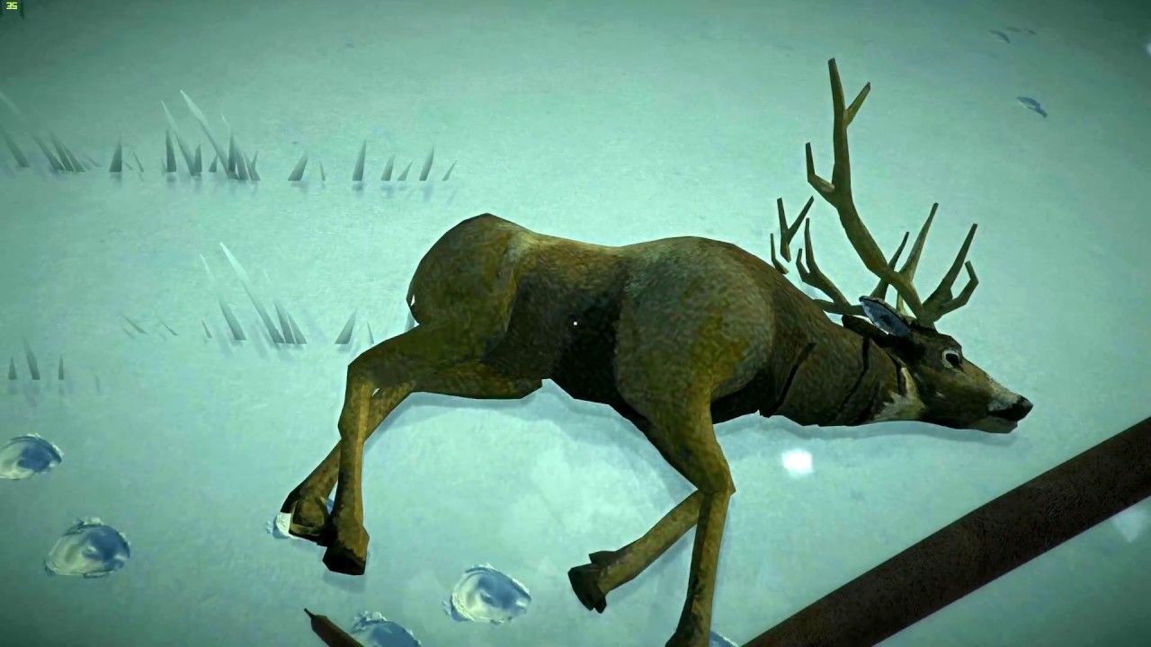 the long dark deer the long dark deer
