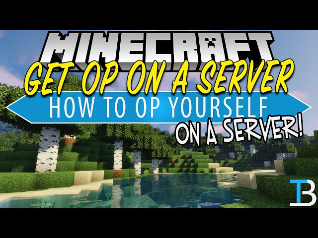 Minecraft Vanilla 1.16.5 Game Server