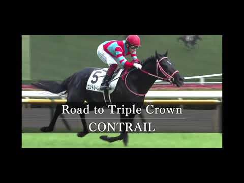【競馬MAD】コントレイル　〜三冠への道〜