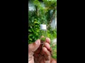 Making a bottle terrarium | How to build a terrarium  in a Tiny Glass Bottle  #terrarium #shorts