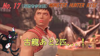 「MONSTER HUNTER RISE」17