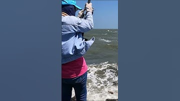 Biển cần giờ #shorts