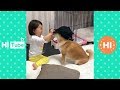 ♥面白いことをしているかわいい犬と猫P1♥面白い動画2018