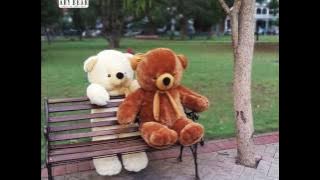 Jual Boneka Teddy Bear Jumbo / Besar