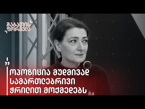 „გაყვინიზებულმა\" მილიარდერმა მთელი სახელმწიფო ჩაიდო ჯიბეში\" - თამარ ჩარკვიანი