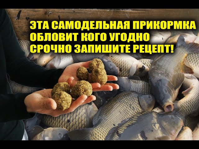 Эта прикормка обловит всех рыбаков, впервые рецепт попал в интернет, срочно записывайте!