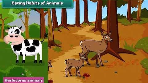 Our Friends Animals Class 3 EVS: Exploring the Amazing World of Animals for Kids 🐾