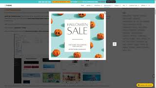 How to install Wordpress theme package