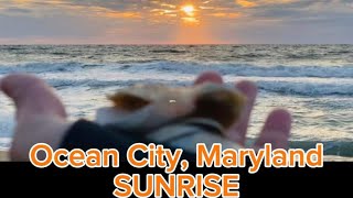 Waking up in the Ocean City SUNRISE | Relaxing Sounds | Ohana Abode #979