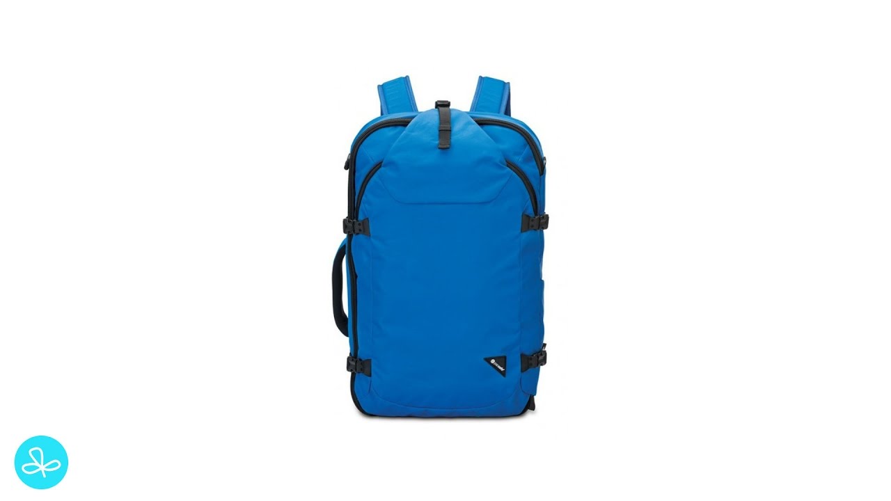 rei pacsafe backpack
