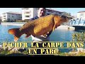 Pche  la carpe dans un parc 25 carp fishing