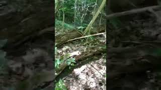New Stairs for Steep Slope