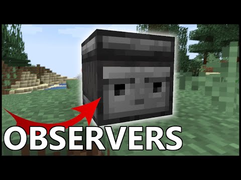 Wideo: Co robią ewokatorzy w Minecraft?