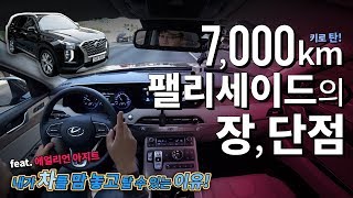 팰리세이드 실오너의 장, 단점 리뷰! 팰리세이드 PPF, 에일리언아지트