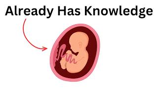We have knowledge before birth