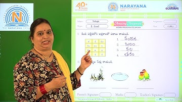 11TH NOV AP CLASS I FL TELUGU AMAZING ASSIGNMENT KEY