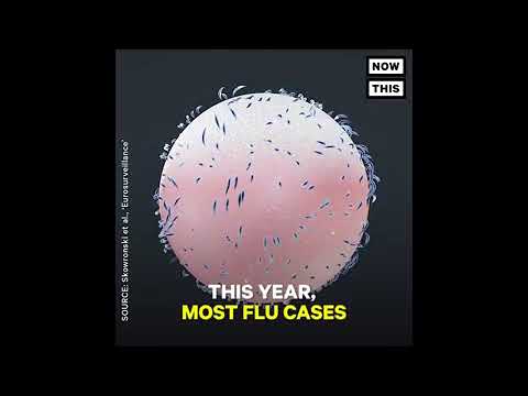 This Might Be The Worst Flu Season In A Decade - YouTube