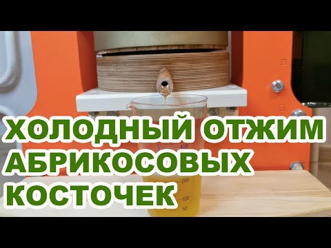 Как сделать масло из абрикосовых косточек в домашних условиях