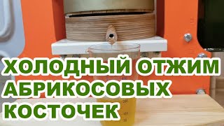 видео: Холодный отжим масла из абрикосовых косточек картинка: Холодный отжим масла из абрикосовых косточек