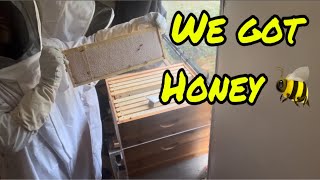 We got honey! (Episode 93) by The Amateur Aquaponics Guy 34 views 13 days ago 3 minutes, 58 seconds