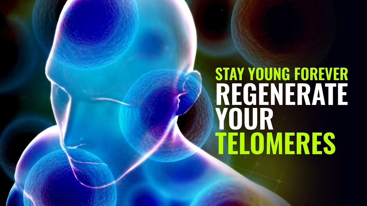 Regenerate your Telomeres Stem Cell Production Anti Aging Binaural Beats  Stay Young Forever