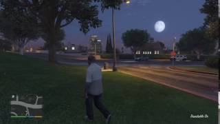 You Seen That Shit?, Tell Me You Saw That Shit | Grand Theft Auto 5