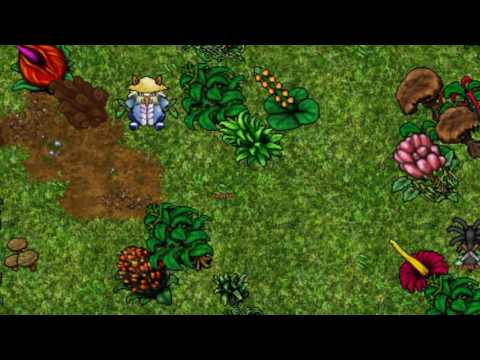 UPDATE: DIMENSIONAL ZONE POKEXGAMES