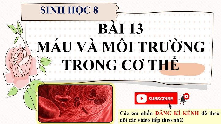 Bài tập sinh học lớp 8 bài 13 năm 2024