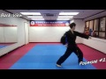 Taekwondo - Poomsae 2 (Yi Jang) Slow-motion, front and back view