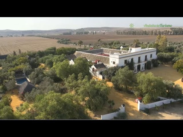 Hacienda San Rafael, Las Cabezas de San Juan, Sevilla - YouTube