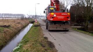 Common Snowdrop  Gewoon Sneeuwklokje  20120302