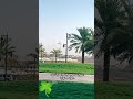 اللهم تولنى فيمن توليت كررها فى دعائك فأن تولاك الله سخر لك كل شئ حتى لو كان مستحيلا