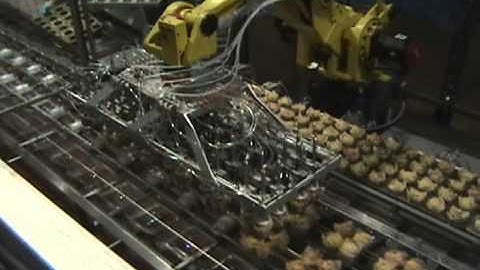 CF Robotic Depanner Short.wmv