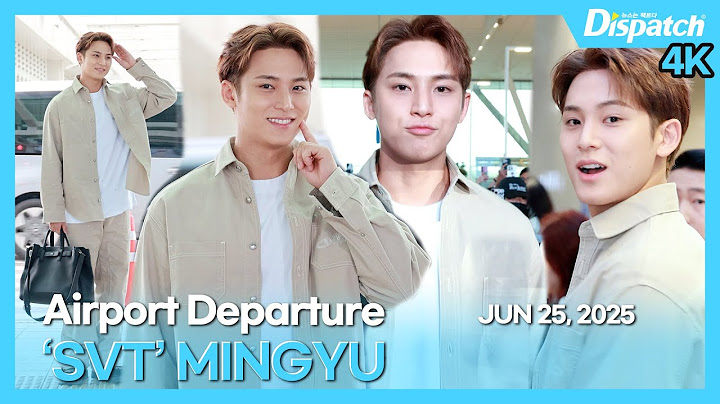 민규(세븐틴), "잘생긴 비주얼 맘껏 자랑✨매 순간이 킬포" l MINGYU(SVT), "Every moment is Killin' point" [공항]