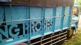 Canter Mania Anti B Demi Koe