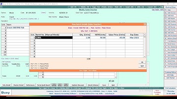 Batch - Wise Stock Maintenance in Busy (Complete Tutorial)