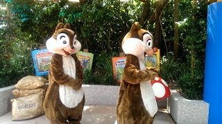 Save time and money on your next wdw trip: http://goo.gl/ghunzj. this
video is of the character meet greet in animal kingdom at disney
world. it was fun ...