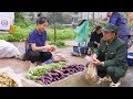 Harvesting vegetable garden goes to the market sell  free new life