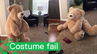 Woman Fails to Get Up in Teddy Bear Costume