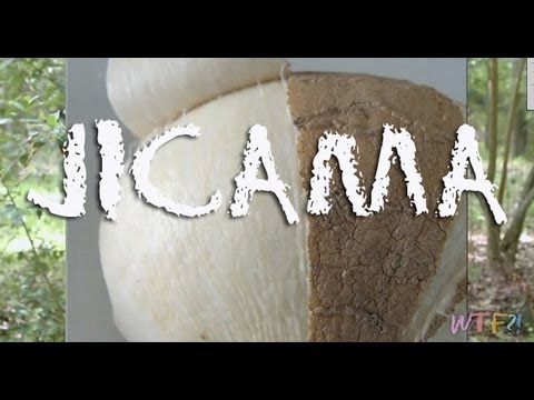 What is Jicama? / How to make a Jicama Slaw