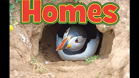 Why Living Things Need Homes by Daniel Nunn
