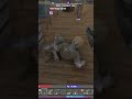 Why Arctic Wolf Doesn't Trust My "Clear" Anymore 🧟♂️😂 #7D2D