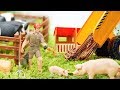 Setup Toy Farm with Farm Animals for Kids