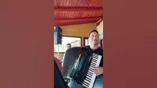 Daniel Stangaciu ca la nunta cover (M,Mexicanu)