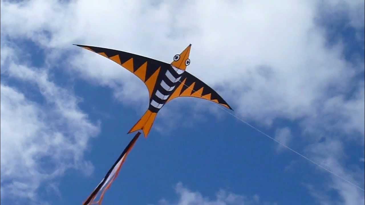 Exotic Bird kite YouTube