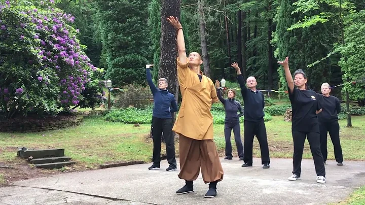 易筋經 · Yi Jin Jing (Muscle Tendon Change Classic) Qi Gong - DayDayNews