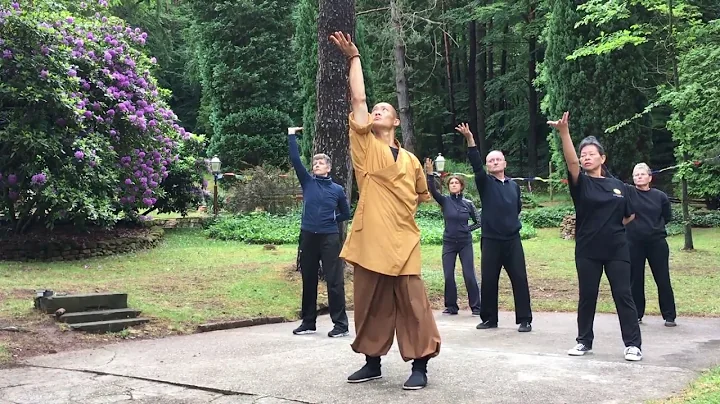 Yi Jin Jing (Muscle Tendon Change Classic) Qi Gong